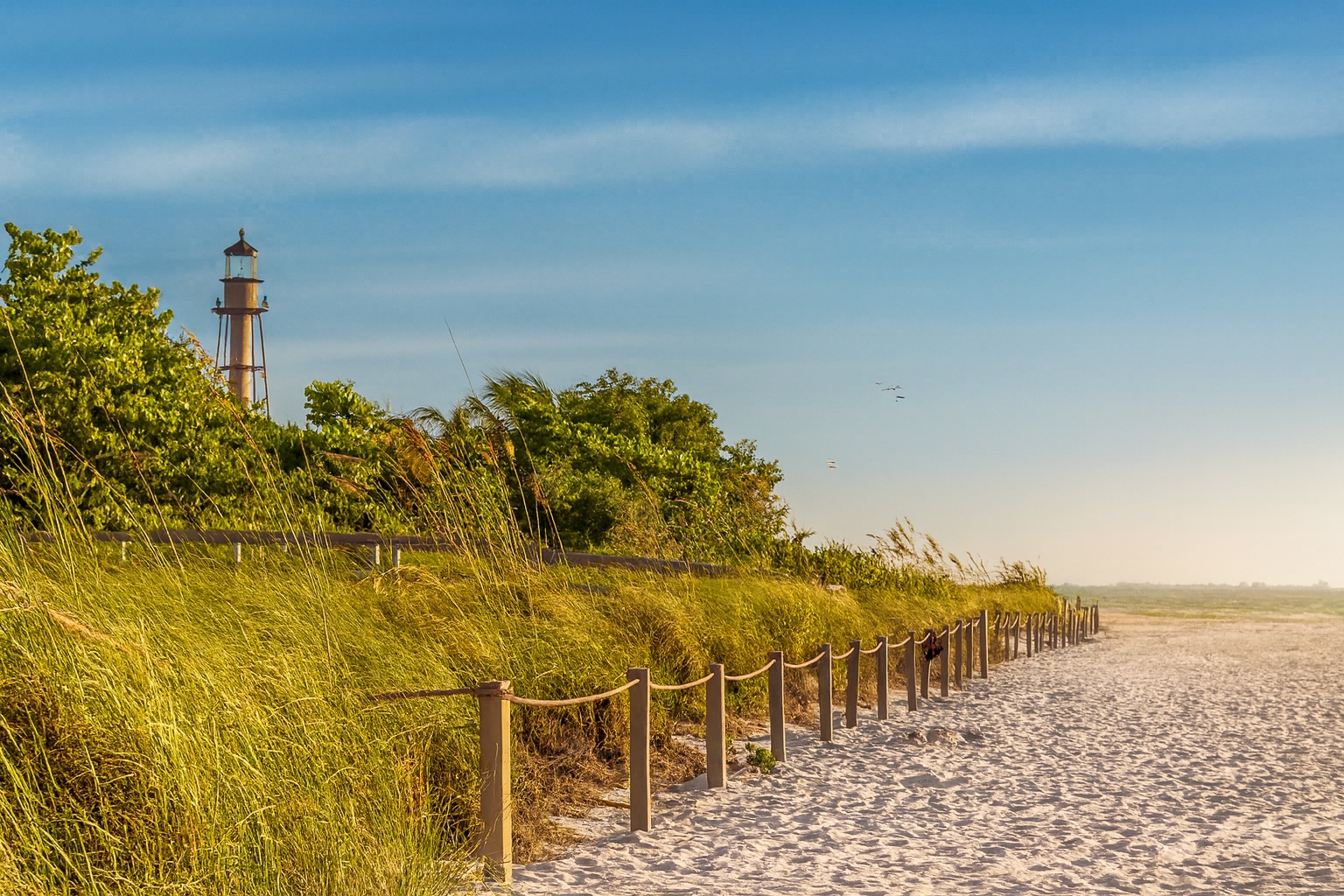 About Pfeifer Realty Group