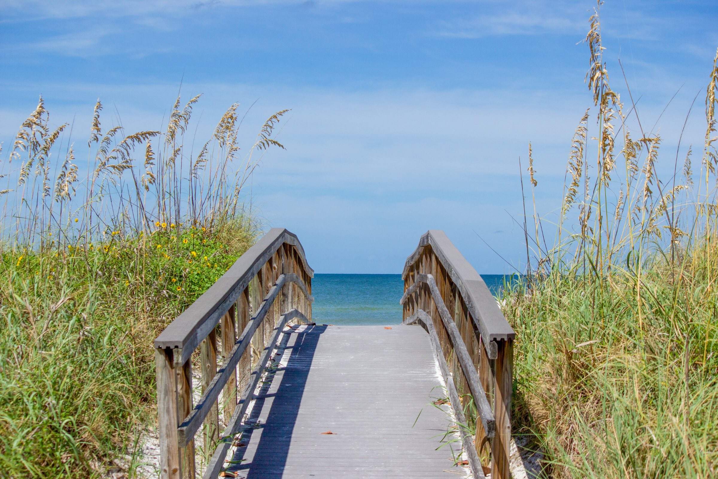 Contact Pfeifer Realty Group