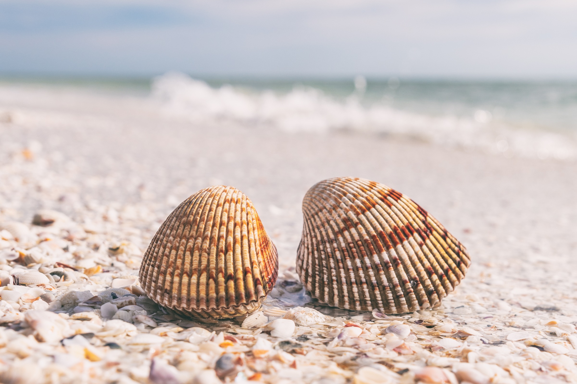 Real Estate Resources